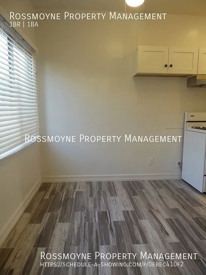 Renovated Unit 1 Bedroom 1 Bath — Photo 4