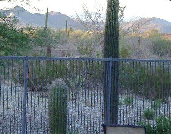 view out back