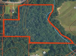 0 Hurricane Rd, Cottondale, AL 35453