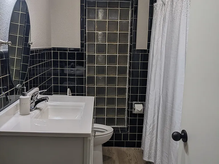 Hall bathroom- now with mirrored barn door entrance -the door no longer opens into the space- giving more openness to the Parisian inspired bathroom
