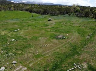 19958 Ward Creek Rd, Cedaredge, CO 81413