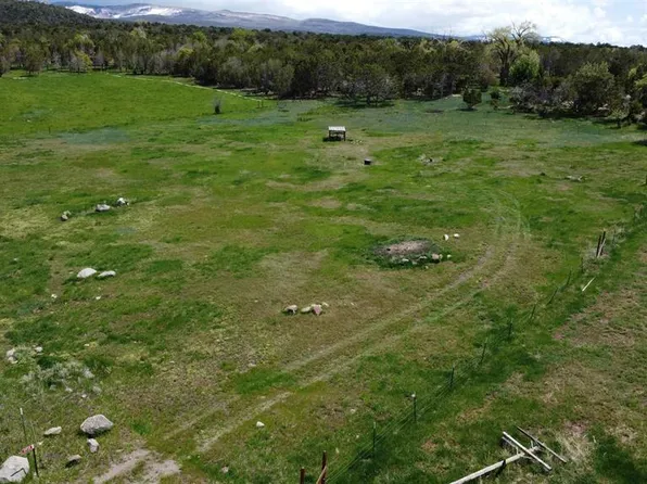 19958 Ward Creek Road, Cedaredge, CO 81413