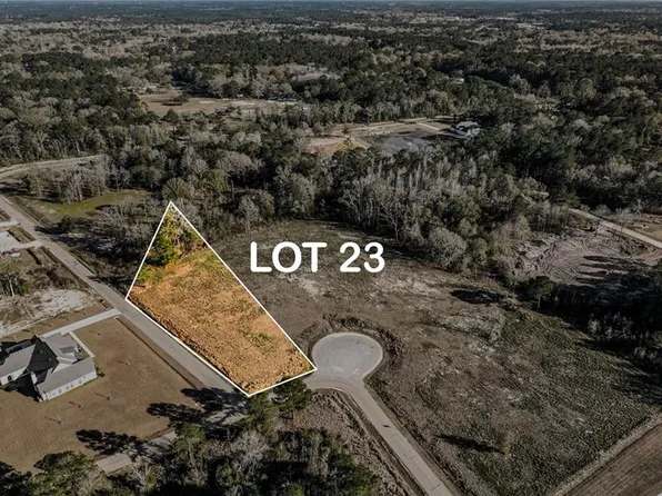 12580 Goldentop Dr, Covington, LA 70433