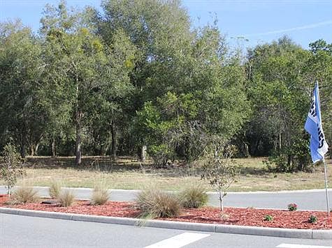 3rd image of 344 Ashton Woods Ln