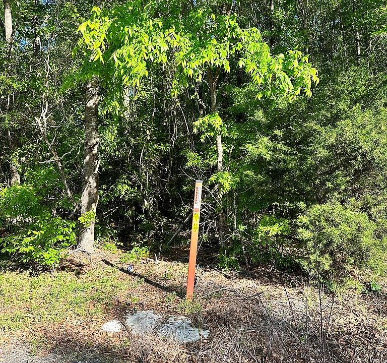 0 Florence Hwy, Mayesville, SC 29104 MLS 156640 Zillow