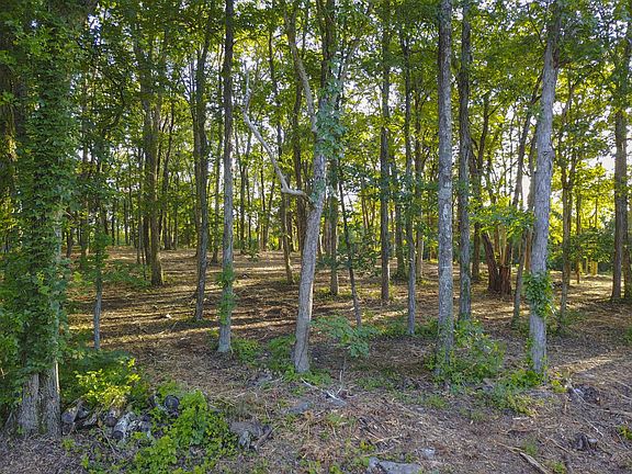 4th image of 521 Willow Hill Cir