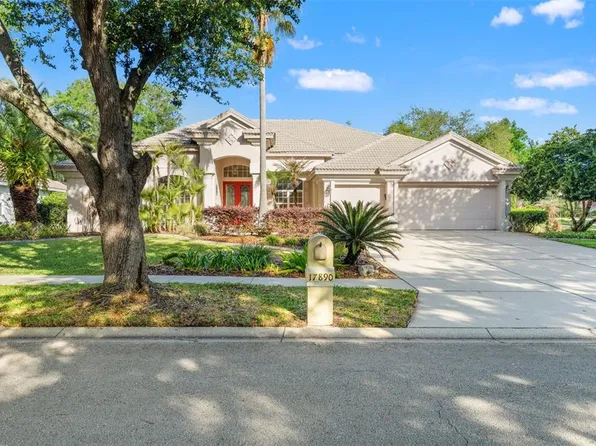 17890 Arbor Greene Dr, Tampa, FL 33647