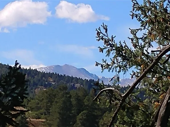 5207 Mountain Vista Ln, Evergreen, CO 80439