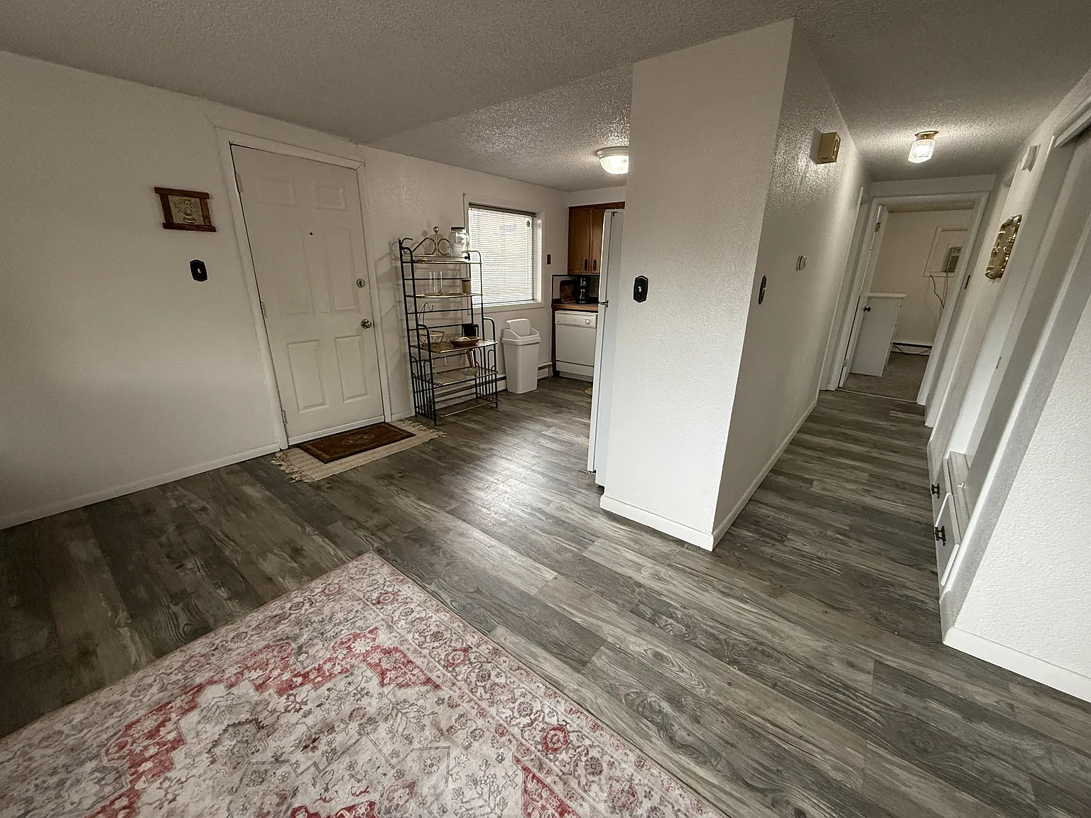 2901 8th Avenue North (Newest) - 2 — Photo 4