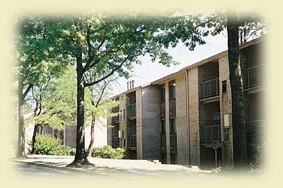Randle Hill — Photo 11