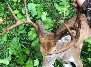 7222 Riepe Ridge Rd, Metropolis, IL 62960