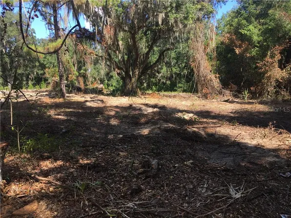Royal Oak Rd, Lady Lake, FL 32159