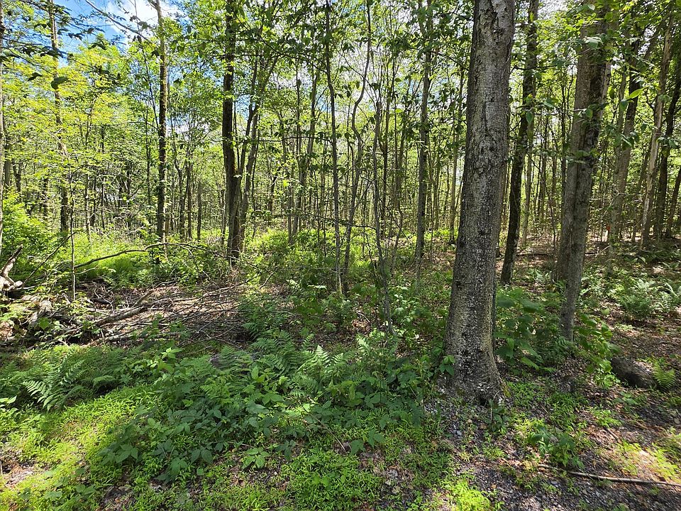 2nd image of LOT 1 Pioneer Trl