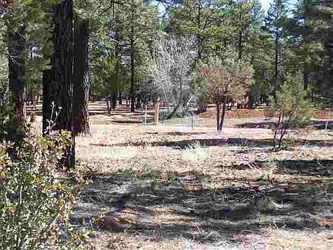 1st image of 1029 S Fox Hunt