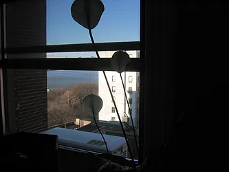 Rented by Rita S Citrin, LREB