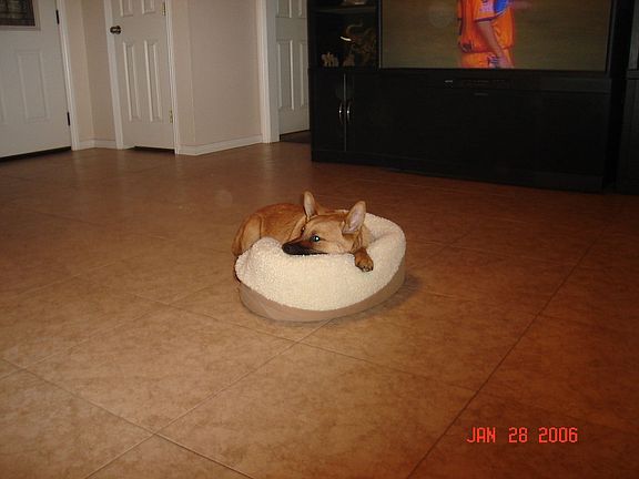 Living room entrance
