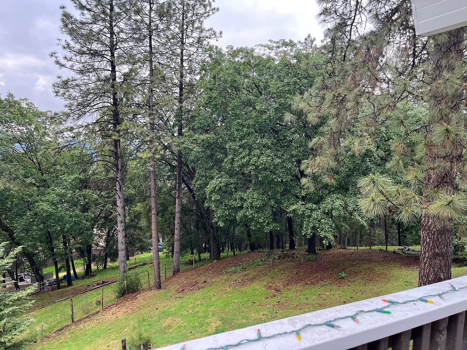4 bed, 1631 sqft, $2,500 — Photo 3