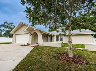 8005 Buttonball Ln, Port Richey, FL 34668