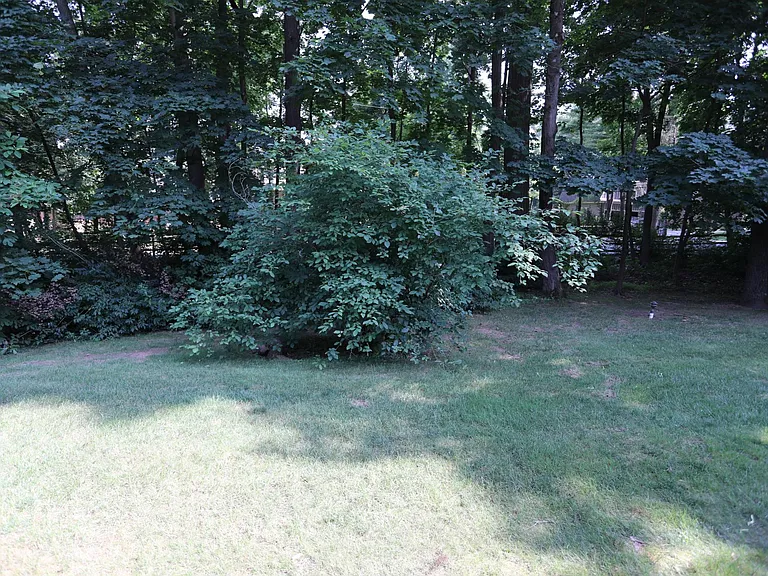 133 Woodgate Ln #23 — Photo 25