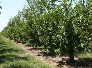 8738 N Pezzi Rd, Stockton, CA 95215