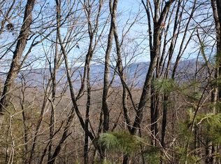 2810 Grassy Branch Rd, Sevierville, TN 37876