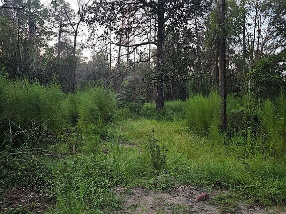 4th image of 373 Carl Burney Rd