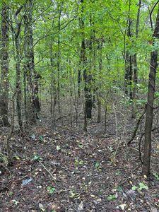 6 Mardis Dr #B, Jonesboro, AR, 72404