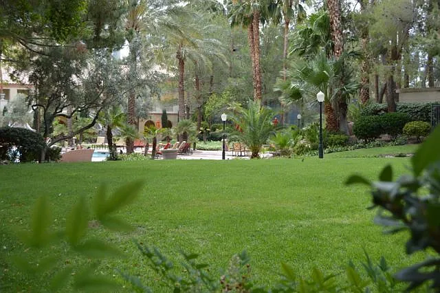 270 E Flamingo Rd #436 — Photo 33