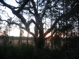 13900 SE 47th Street Rd, Ocklawaha, FL 32179