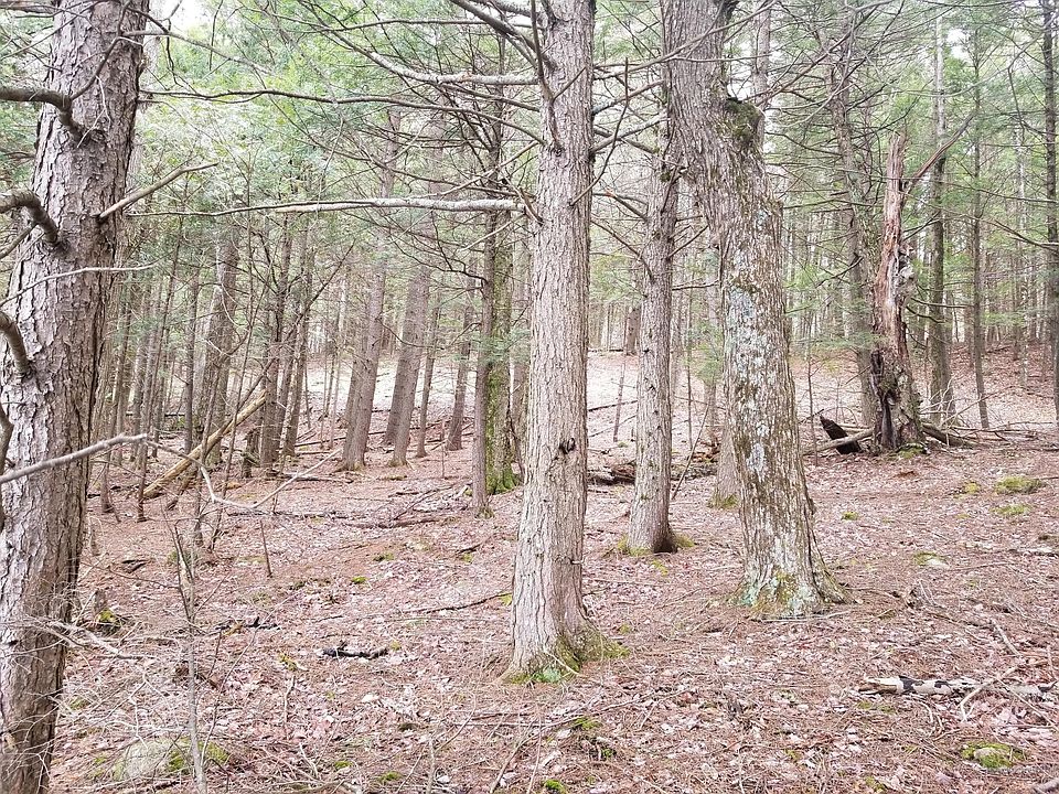 2nd image of Oak Pond Rd