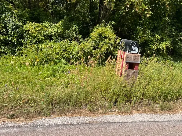 LOT 98 Burlington Rd Lot 98, Saint Charles, IL 60175