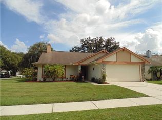 2004 Branch Tree Ln, Brandon, FL 33511