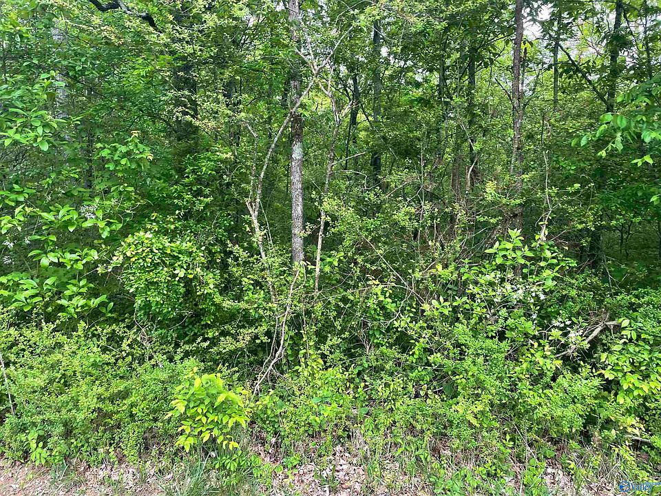 2nd image of 2.11 Ac College Rd