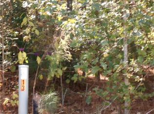 25421 Indian Falls Ct, Magnolia, TX 77355