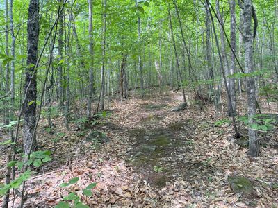 TBD Map FR 028 Plan 01 Lot 19, Wilton, ME, 04294
