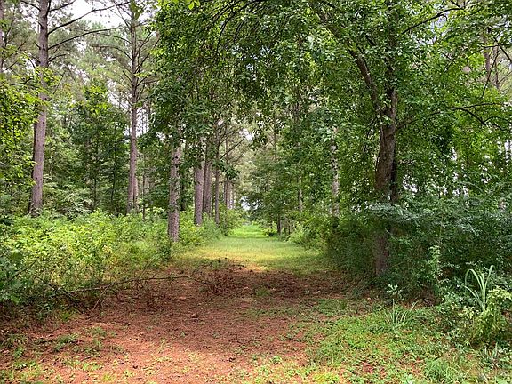 3rd image of LOT 2 Highway 51 N