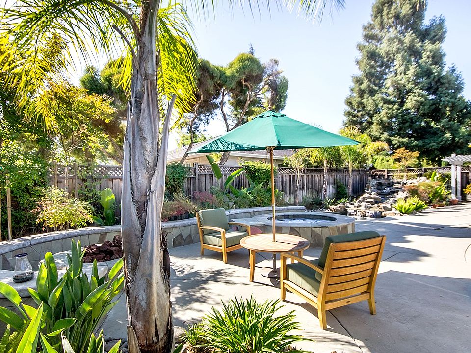 Amazing Back Yard