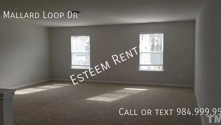 69 Mallard Loop Dr — Photo 10