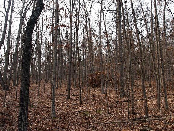 Beautiful Mountain Vistas from your Homesite