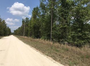 7231 NE 136th Ave LOT 23, Williston, FL 32696
