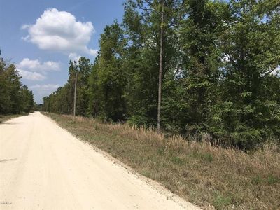 7231 NE 136th Ave Lot 23, Williston, FL, 32696