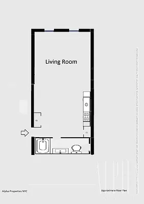 Rented by Alpha Properties NYC I LLC | media 9