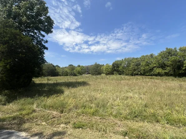 910 Campsite Rd, Castalian Springs, TN 37031