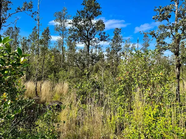 16 1021 Old Volcano Trl Lot 2973, Kurtistown, HI 96760