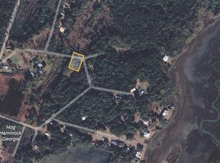 0 Part Off Rd LOT 19, Sapelo Island, GA 31327