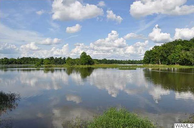 1st image of 0 Black Warrior Bay #111