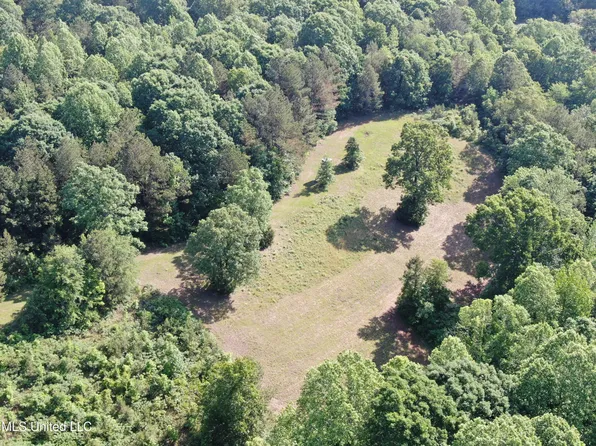 271 Winborn Tower Rd, Potts Camp, MS 38659