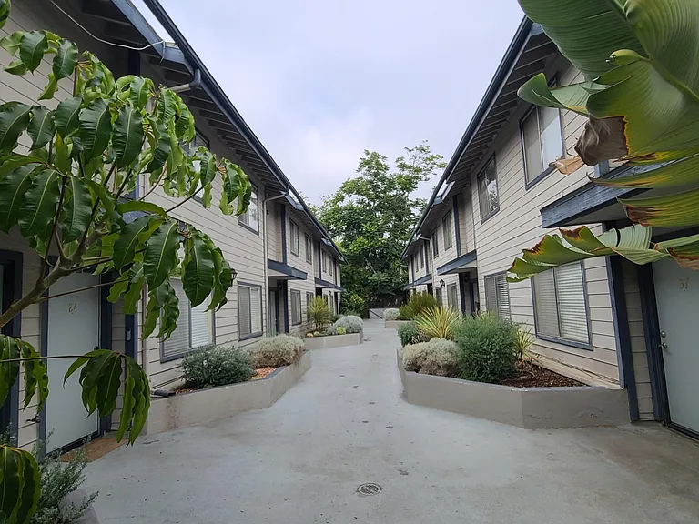 55 N Mar Vista — Photo 3
