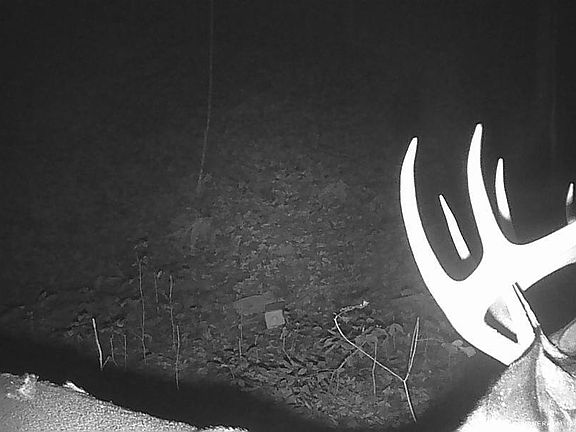 2nd image of 19056 Turnpike Rd