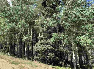 Back Basin Rd, Angel Fire, NM 87710